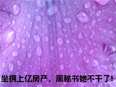 周容意霍景泽小说（坐拥上亿房产，周秘书她不干了!）全文免费阅读无弹窗大结局_坐拥上亿房产，周秘书她不干了!最新章节列表（坐拥上亿房产，周秘书她不干了!）