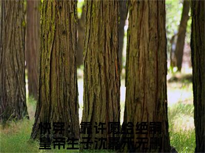 快穿：靠许愿给绝嗣皇帝生子沈嘉禾最新章节（快穿：靠许愿给绝嗣皇帝生子沈嘉禾免费在线阅读）全文免费阅读无弹窗大结局_快穿：靠许愿给绝嗣皇帝生子沈嘉禾免费在线阅读免费阅读（快穿：靠许愿给绝嗣皇帝生子沈嘉禾）