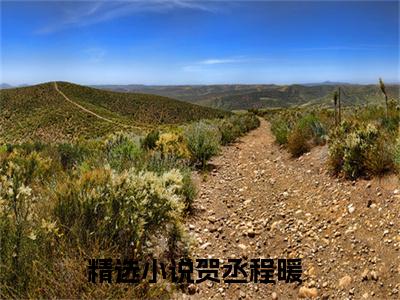 贺丞程暖后续+番外免费阅读_（贺丞程暖后续+番外免费阅读无弹窗）贺丞程暖最新章节列表笔趣阁（贺丞程暖后续+番外）