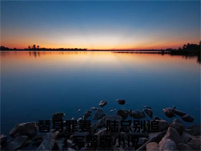 经典小说替身罪妻，陆总别追了无广告小说免费阅读陆北爵林若夏全章节免费阅读