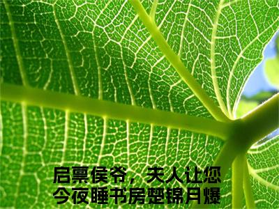 启禀侯爷，夫人让您今夜睡书房楚锦月(启禀侯爷，夫人让您今夜睡书房楚锦月)小说免费阅读无弹窗大结局_(启禀侯爷，夫人让您今夜睡书房楚锦月)启禀侯爷，夫人让您今夜睡书房楚锦月最新章节列表笔趣阁（启禀侯爷，夫人让您今夜睡书房楚锦月）
