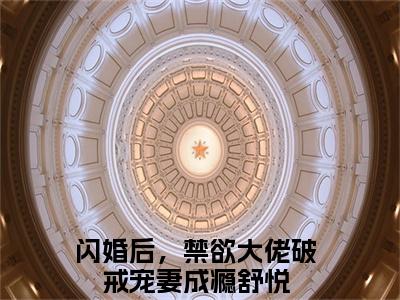 闪婚后，禁欲大佬破戒宠妻成瘾舒悦最新章节在线阅读-小说全文阅读