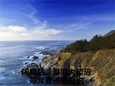 闪婚后，禁欲大佬破戒宠妻成瘾舒悦小说（闪婚后，禁欲大佬破戒宠妻成瘾舒悦）全文免费阅读无弹窗大结局_（闪婚后，禁欲大佬破戒宠妻成瘾舒悦小说全文免费阅读无弹窗）闪婚后，禁欲大佬破戒宠妻成瘾舒悦最新章节列表_笔趣阁（闪婚后，禁欲大佬破戒宠妻成瘾舒悦小说）
