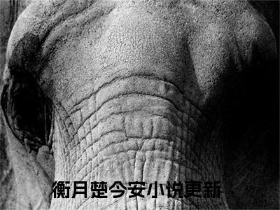 衡月楚今安（衡月楚今安)全文免费阅读无弹窗大结局_衡月楚今安全文免费阅读_笔趣阁（衡月楚今安）
