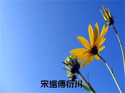 宋绾傅衍川全文免费阅读_（宋绾傅衍川小说）宋绾傅衍川言情小说在线阅读笔趣阁