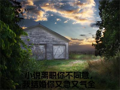 陆谨言辛慈（离职你不同意，我结婚你又急又气）全文免费阅读无弹窗大结局_离职你不同意，我结婚你又急又气最新章节列表_笔趣阁