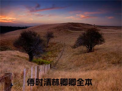 傅时清林卿卿(傅时清林卿卿)全文免费阅读大结局_傅时清林卿卿最新章节列表_笔趣阁（傅时清林卿卿）