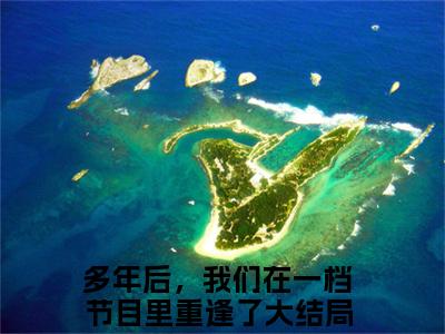 多年后，我们在一档节目里重逢了全文（霍执川宋佳颜小说）全文免费阅读无弹窗大结局_霍执川宋佳颜免费最新章节列表