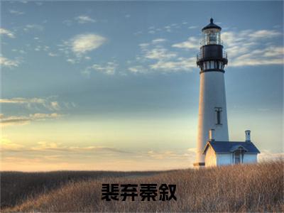 裴弃秦叙最新小说全文阅读-抖音新书热荐裴弃秦叙