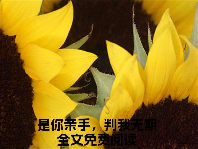 是你亲手，判我无期（沈初凝宋时宴）热门小说最新章节阅读-（是你亲手，判我无期）沈初凝宋时宴全文免费阅读