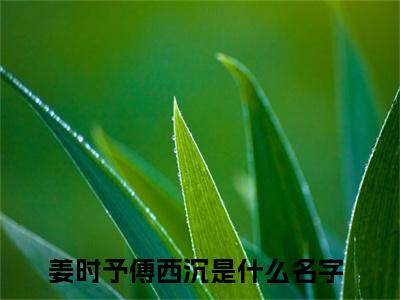 姜时予傅西沉（姜时予傅西沉）全文免费阅读无弹窗大结局_(姜时予傅西沉)最新章节列表_笔趣阁