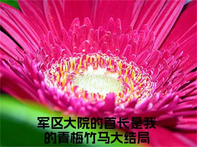 军区大院的首长是我的青梅竹马慕意晚萧明楚小说全文免费阅读_军区大院的首长是我的青梅竹马（慕意晚萧明楚）最新章节列表笔趣阁