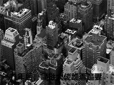傅北萱厉霆骁（九年后，疯批大佬跪着追妻）全文小说免费阅读_（九年后，疯批大佬跪着追妻）傅北萱厉霆骁最新章节列表