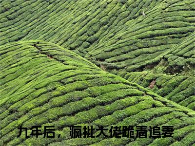 傅北萱厉霆骁全文免费在线阅读_（傅北萱厉霆骁免费阅读无弹窗）九年后，疯批大佬跪着追妻全文免费完结版阅读