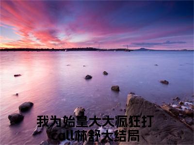 我为始皇大大疯狂打call林舒全集完整版大结局-我为始皇大大疯狂打call林舒小说在线赏析