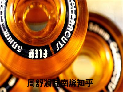 周舒澜陆南烯正版小说全文阅读 周舒澜陆南烯全文免费完整版