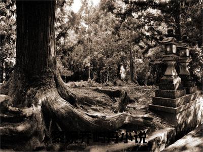 黎婉乔屿舟（黎婉乔屿舟）全文免费阅读无弹窗大结局_黎婉乔屿舟小说全文免费阅读最新章节列表_笔趣阁