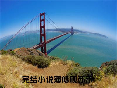 薄修砚苏禾（薄修砚苏禾）小说全文免费阅读正版无弹窗_(薄修砚苏禾)最新章节列表
