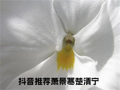 萧景寒楚清宁（重生后，我将自家驸马抵在榻前）全文免费阅读无弹窗大结局_（萧景寒楚清宁）免费阅读无弹窗最新章节列表