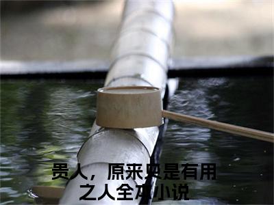 白璃卫长庚（贵人，原来只是有用之人全章节完整版）免费阅读-白璃卫长庚全文无删减阅读