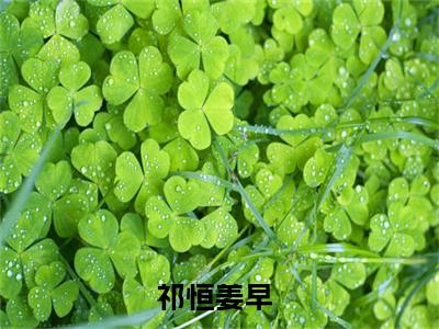 祁恒姜早(遇见她，本来就是一个意外)小说全文免费阅读无弹窗大结局_（祁恒姜早全文免费阅读）遇见她，本来就是一个意外最新章节列表