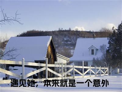 遇见她，本来就是一个意外小说（祁恒姜早）全文免费阅读无弹窗大结局_遇见她，本来就是一个意外小说最新章节列表