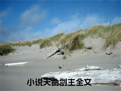 天命剑主全文免费阅读大结局_杨临已完结全集天命剑主大结局小说