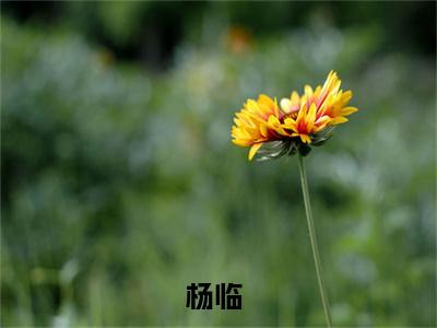 天命剑主（杨临）全文免费阅读_（杨临）天命剑主最新章节小说免费阅读_笔趣阁
