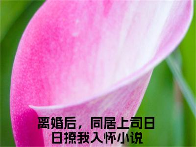 陆屿行季蓁（离婚后，同居上司日日撩我入怀全章节完整版）免费阅读_陆屿行季蓁（离婚后，同居上司日日撩我入怀）最新章节列表笔趣阁