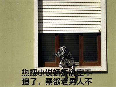 谢砚铭郁偲缈（娇娇决定不追了，禁欲老男人不干了免费小说）全文免费阅读无弹窗大结局_娇娇决定不追了，禁欲老男人不干了免费小说最新章节列表_笔趣阁