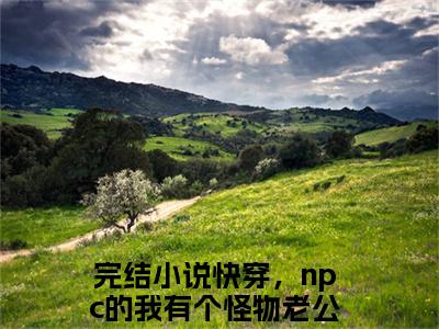 小说完整版快穿，npc的我有个怪物老公于久久大结局-快穿，npc的我有个怪物老公于久久是什么书《快穿，npc的我有个怪物老公于久久》