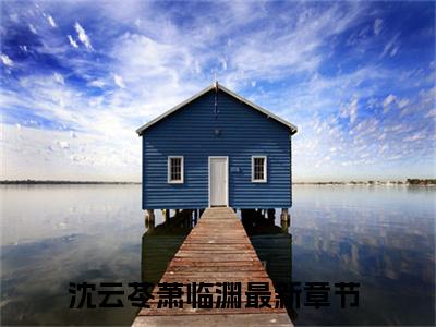 沈云苓萧临渊全文免费阅读无弹窗大结局-沈云苓萧临渊 全文全章节免费阅读