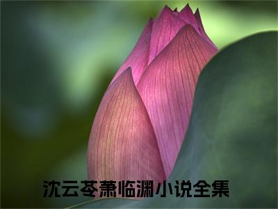 小说免费阅读-抖音新书热荐沈云苓萧临渊