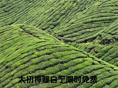 太初神瞳白宁小说（太初神瞳白宁)全文免费阅读无弹窗大结局_太初神瞳白宁完整版最新阅读_笔趣阁（太初神瞳白宁）