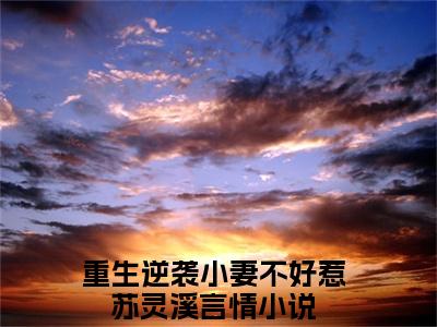 重生逆袭小妻不好惹苏灵溪满分小说全章节_重生逆袭小妻不好惹苏灵溪下拉式阅读_笔趣阁