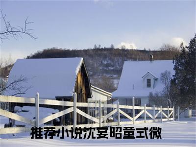 沈宴昭童式微（沈宴昭童式微）微小说-沈宴昭童式微最新章节免费阅读