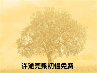 许沁莞梁初愠（许沁莞梁初愠）全文在线阅读无弹窗大结局_（许沁莞梁初愠全文在线阅读无弹窗）许沁莞梁初愠最新章节列表_笔趣阁（许沁莞梁初愠）