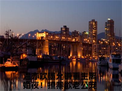 温亦欢墨允谦小说全文免费阅读无弹窗，（重生离婚夜！撩禁欲老公宠乖崽崽）小说全文免费阅读