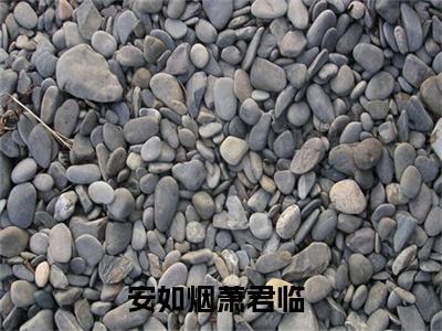 安如烟萧君临小说全文免费阅读（灭太子妃怀双胎，太子宠娇妾封后）免费阅读全文免费阅读无弹窗大结局