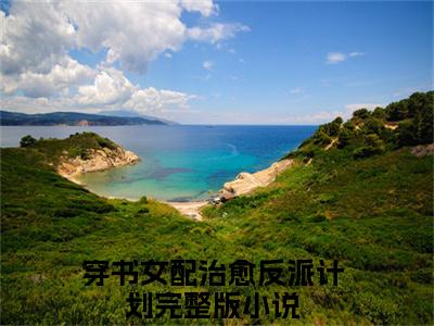 （穿书女配治愈反派计划）苏婉清顾珩之新书热荐免费小说-苏婉清顾珩之小说全文完整版阅读