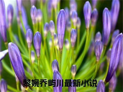 新书热荐黎婉乔屿川全文免费阅读无弹窗大结局-小说黎婉乔屿川全文完整版免费阅读