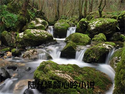 陆允泽颜心吟（陆允泽颜心吟）全文小说-（陆允泽颜心吟）小说最新章节免费阅读