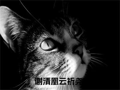 谢清凰云祈尧（谢清凰云祈尧）全文免费阅读无弹窗大结局_谢清凰云祈尧全文免费阅读_笔趣阁（谢清凰云祈尧）