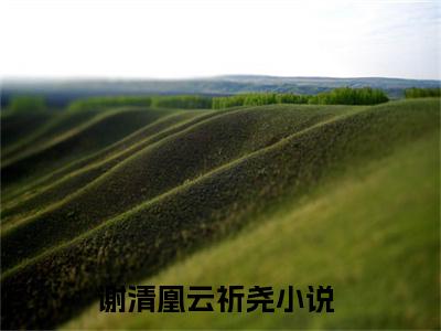 谢清凰云祈尧(谢清凰云祈尧)小说免费下载全本-谢清凰云祈尧（谢清凰云祈尧完整版）免费阅读无弹窗
