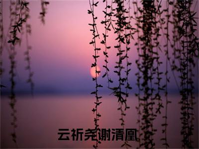 云祈尧谢清凰精选热门小说无弹窗-云祈尧谢清凰在线赏析