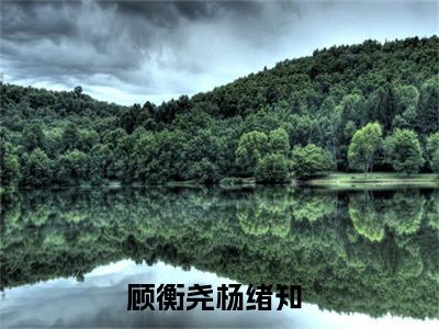 顾衡尧杨绪知全文免费阅读无弹窗大结局_（顾衡尧杨绪知）顾衡尧杨绪知最新章节列表_笔趣阁（顾衡尧杨绪知）