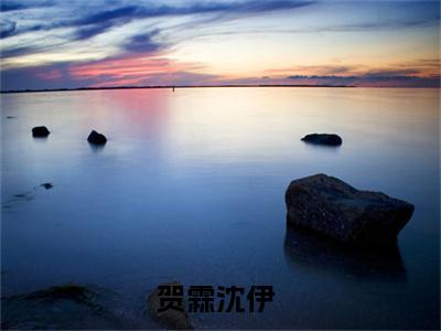 贺霖沈伊(贺霖沈伊)全文免费阅读大结局_贺霖沈伊最新章节列表_笔趣阁（贺霖沈伊）