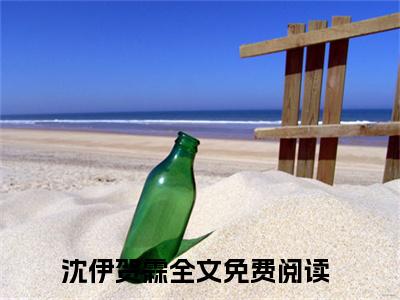 沈伊贺霖（沈伊贺霖）全文免费阅读大结局-沈伊贺霖小说全文免费阅读最新章节列表