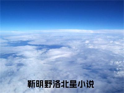 靳明野洛北星（靳明野洛北星小说）全文免费阅读无弹窗大结局_（靳明野洛北星）靳明野洛北星最新章节列表笔趣阁（靳明野洛北星）