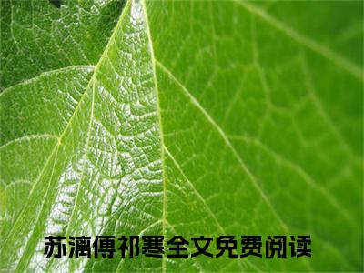 苏漓傅祁寒已完结小说《苏漓傅祁寒》在线全文阅读
